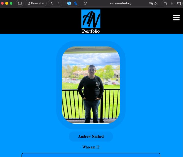 screenshot of website